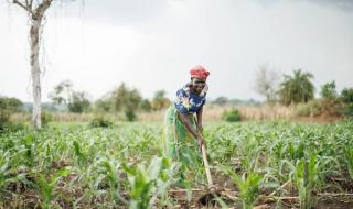 الولايات المتحدة تطلق مبادرة لزيادة واردات الأغذية من إفريقيا