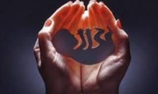 الدنمارك تعتزم تمديد الفترة القانونية للإجهاض حتى الأسبوع الـ 18 من الحمل