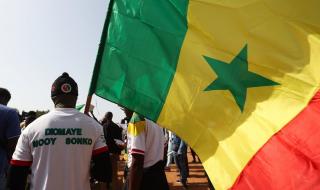 حقيقة اعتماد السنغال "العربية" لغة رسمية في البلاد