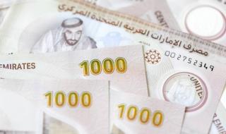 13 مليار درهم القروض الاستهلاكية خلال الربع الأول في الإمارات
