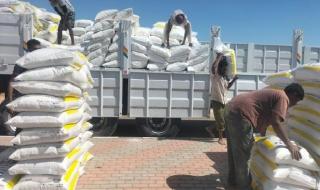  10:07  وصول 100 طن سماد لمركز بحوث الخدمات الزراعية بقرية النثيلة وسط سيناء - الخليج الان