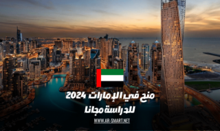 كيف احصل على منحة دراسية مجانية في الإمارات