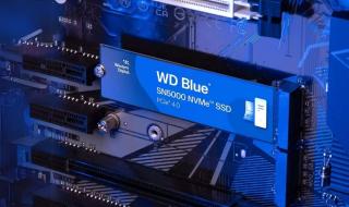 “WD Blue SN5000”: حل التخزين الأمثل للإبداع والعمل والألعاب - موقع الخليج الان