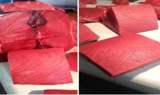 أسعار الأسماك اليوم الخميس فى عدن 14 نوفمبر 2024م