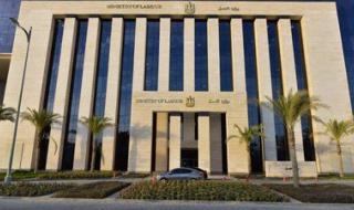 لعدم تطبيق الحد الأدنى توجيهات الوزير محمد جبران بحملة تفتيشية بالقاهرة تُنذر 7 منشآت - الخليج الان