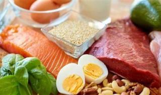 البروتين بين الفوائد والمخاطر: دليلك الذكي لتحقيق أقصى استفادة دون أضرار - الخليج الان