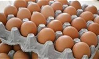 منتجي الدواجن يكشف سبب عدم استقرار اسعار البيض في الأسواق - الخليج الان