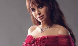 لأول مرة.. آمال ماهر في حفل لايف على موقع التيك توك - الخليج الان