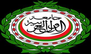 الجامعة العربية تطالب بتوفير خدمات صحية آمنة في قطاع غزة