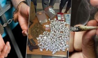 الداخلية تضبط 299 قضية مخدرات و144 قطعة سلاح في يوم - الخليج الان