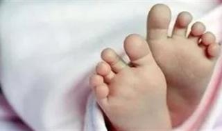 مصرع طفلة دهسًا أسفل سيارة ربع نقل أثناء رجوعها للخلف بالعياط - الخليج الان