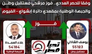وفقا للحصر العددي.. فوز مرشحي مستقبل وطن والجبهة الوطنية بمقعدي دائرة إبشواي - الفيوم - الخليج الان