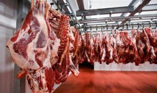 مفاجأة نهاية العام.. مصر تحقق الاكتفاء الذاتي من هذه المنتجات - الخليج الان