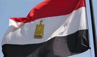 الدبلوماسية التنموية المصرية.. كيف قادت الوكالة المصرية للشراكة التنمية في إفريقيا؟ - الخليج الان