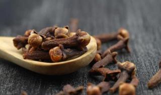11 فائدة صحية لمضغ القرنفل يومياً
