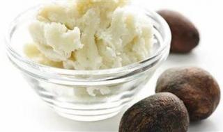 زبدة الشيا المخفوقة وجوز الهند..وصفة طبيعية تحول بشرتك إلى حرير سحر انثوي تصنعية بنفسك - الخليج الان