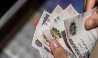 طرح «سند المواطن» بعائد شهري ثابت عبر مكاتب البريد - الخليج الان