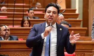 وكيل اقتصادية النواب: جاهزية الدولة لمواجهة تداعيات الحرب تعكس إدارة احترافية للأزمات - الخليج الان