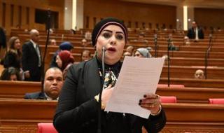 تصاعد استغاثات العاملين.. جيهان شاهين تطالب بإنهاء أزمة غلق منشآت الكفاية الإنتاجية - الخليج الان