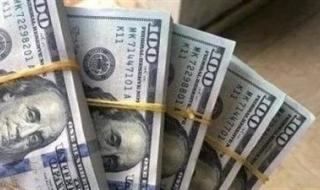 تراجع سعر الدولار اليوم في مصر واستقرار نسبي بالبنوك خلال التعاملات - الخليج الان