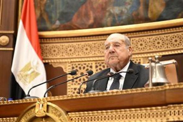 مجلس الشيوخ يناقش ظاهرة التنمر ومستقبل كليات التربية بمصر الأسبوع المقبل - الخليج الان