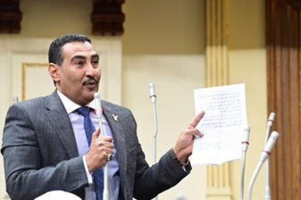 الجبلاوي: قوة وحكمة السيسي أنقذت الوطن في 30 يونيو من مخطط الإخوان لتدمير الدولة - الخليج الان